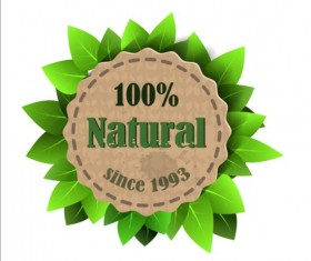 Eco nature label with gree leaves vector 03