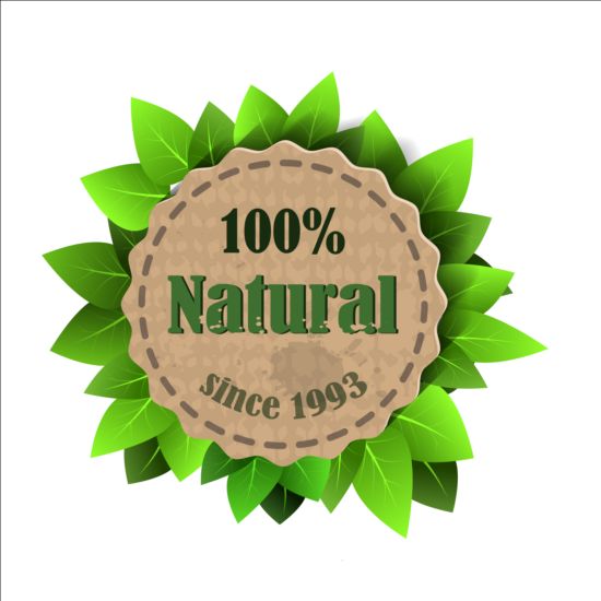 Eco nature label with gree leaves vector 03
