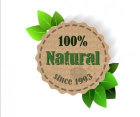 Eco nature label with gree leaves vector 04