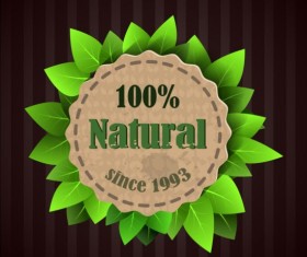 Eco nature label with gree leaves vector 05