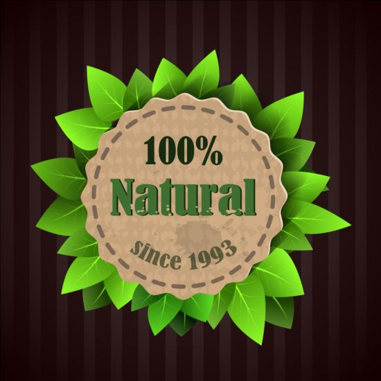 Eco nature label with gree leaves vector 05