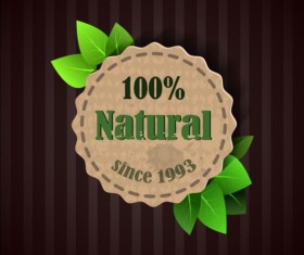 Eco nature label with gree leaves vector 06