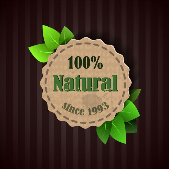 Eco nature label with gree leaves vector 06