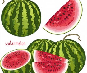 Fresh watermelon vector material 01