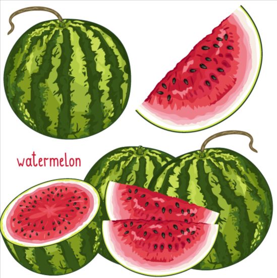 Fresh watermelon vector material 01
