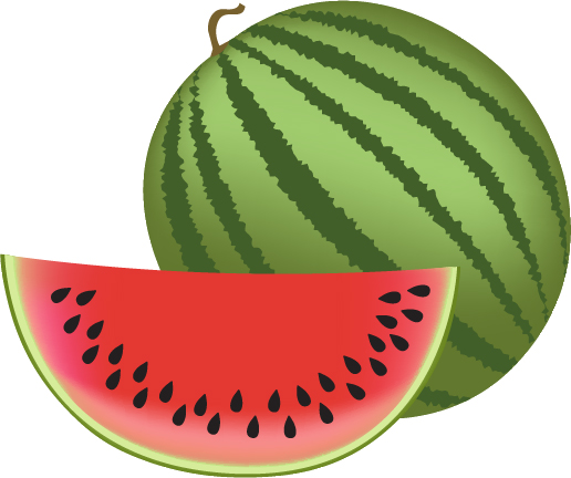 Fresh watermelon vector material 02