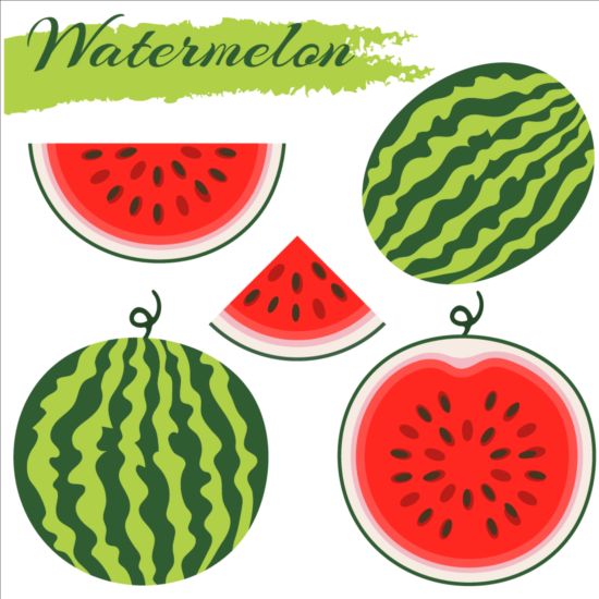 Fresh watermelon vector material 03