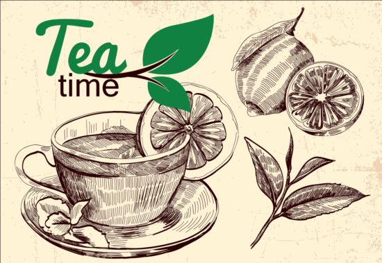 Hand drawn tea time vector background 04