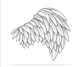 Hand drawn wing illustration vector 01