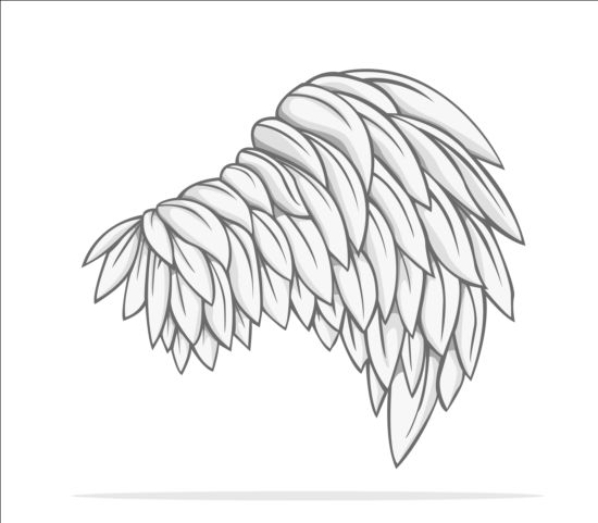 Hand drawn wing illustration vector 01