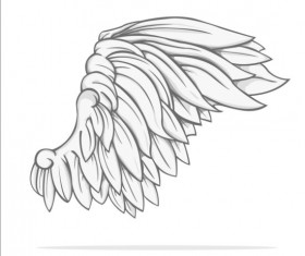 Hand drawn wing illustration vector 02
