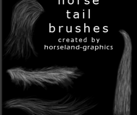 Horse Tail Brushes PS