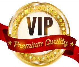 Luxury VIP golden labels vector 01