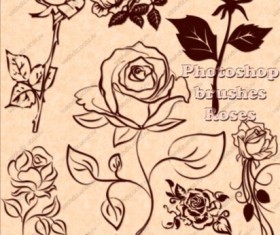 Photoshop brushes vintage roses