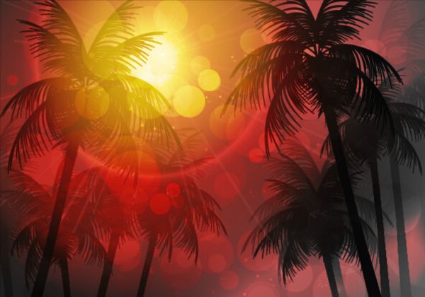 Sunlight with palm trees vector background 01