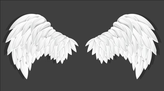 White wings vector material 01