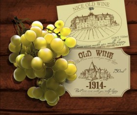 Wine and grapevine with wood background vector