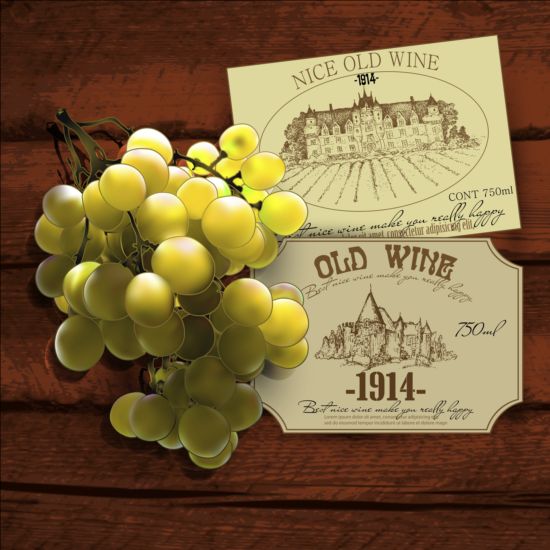 Wine and grapevine with wood background vector