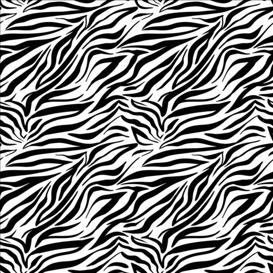 Zebra Skin Pattern