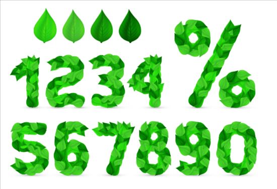 leaves with numbers vector design