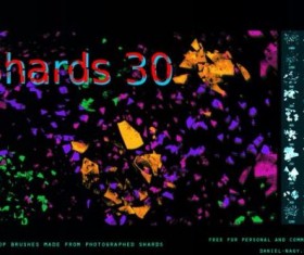 30 Kind Shards Brushes