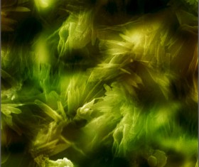 3D abstract photoshop brushes