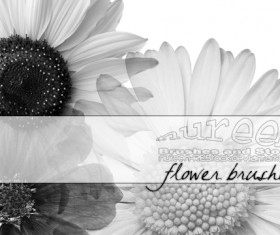 Big Flower PS Brushes