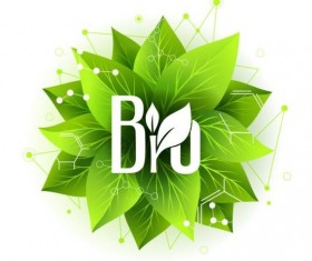 Bio label badge with green leaves vector 01