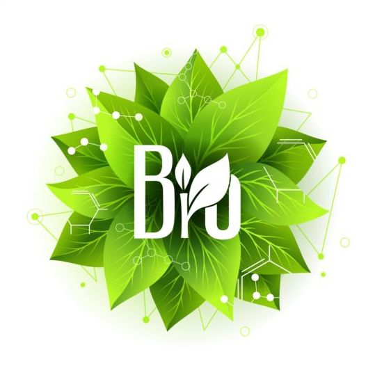 Bio label badge with green leaves vector 01