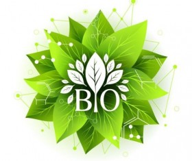 Bio label badge with green leaves vector 02