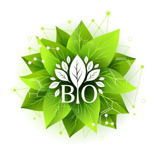 Bio label badge with green leaves vector 02