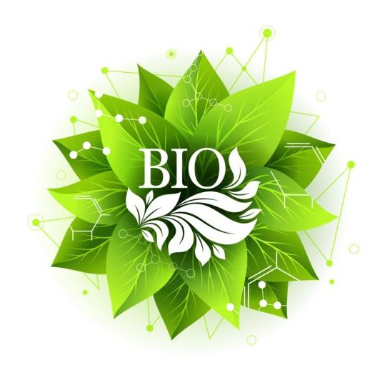 Bio label badge with green leaves vector 04