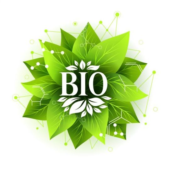 Bio label badge with green leaves vector 06