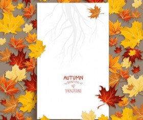 Blank paper with autumn leaves vector