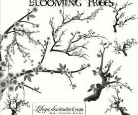 Blooming Trees Photoshop Brushes