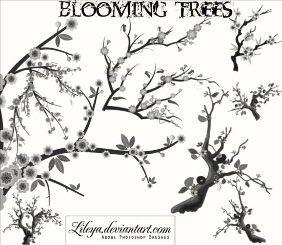 Blooming Trees Photoshop Brushes