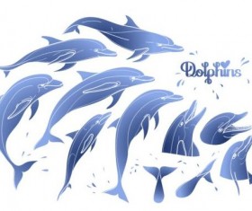 Blue dolphin with summer background vector 01