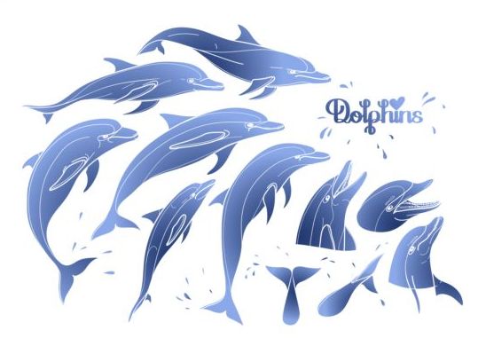 Blue dolphin with summer background vector 01