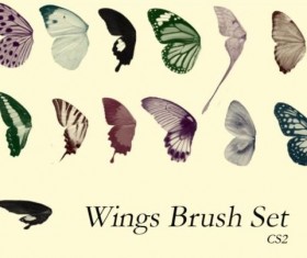 Butterfly Wings Brushes