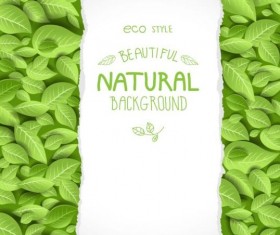 Eco style natural background vector 04