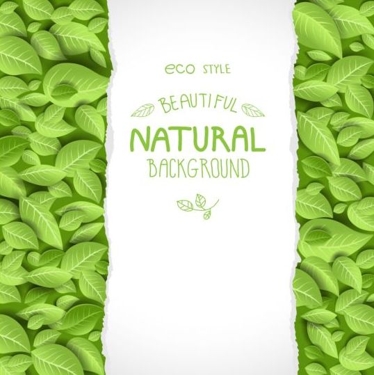 Eco style natural background vector 04