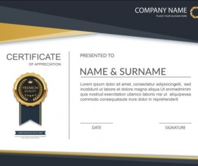 Exquisite certificate design vector 04