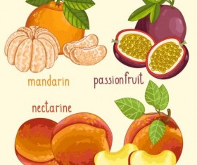 Fruit with name design vector 01