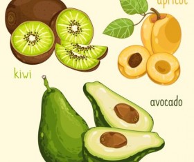 Fruit with name design vector 02