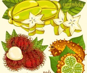 Fruit with name design vector 04