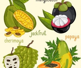 Fruit with name design vector 06