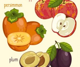 Fruit with name design vector 07