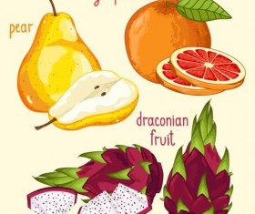 Fruit with name design vector 08