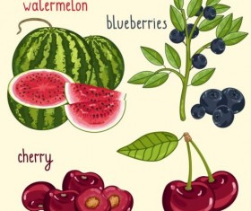 Fruit with name design vector 09