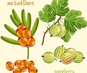 Fruit with name design vector 12